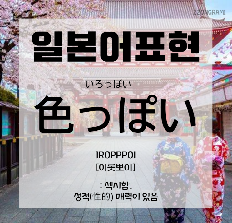  [일본어 공부] 일본어 표현 :「色っぽい」