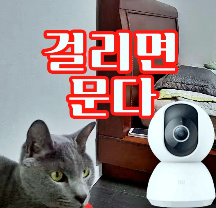  가정용 cctv 샤오미 해킹 없이 가능
