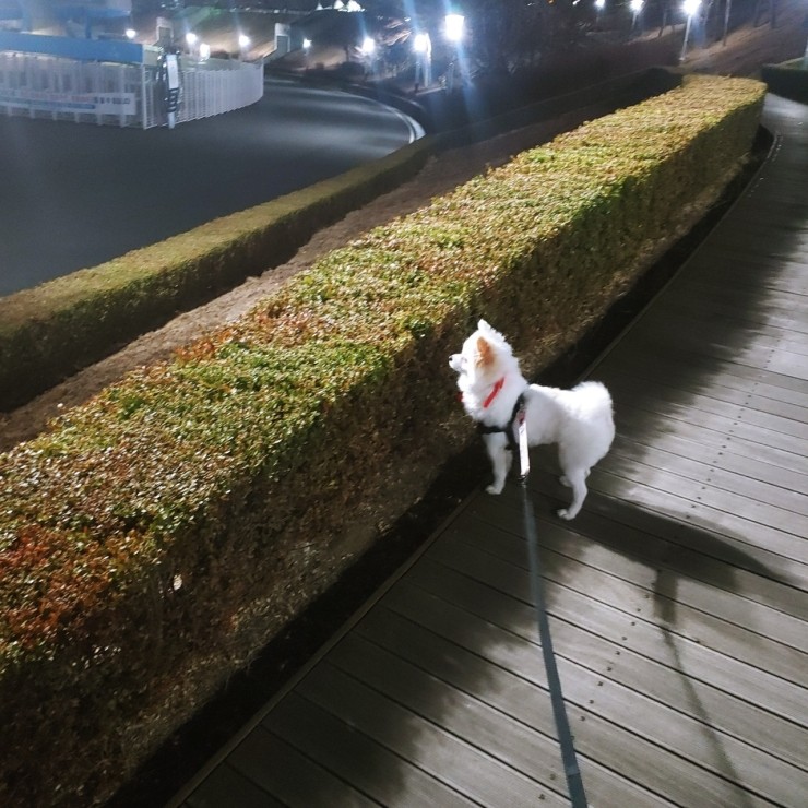  [일상 블로그] 우리랑 대구 스타디움 경기장 산책!!
