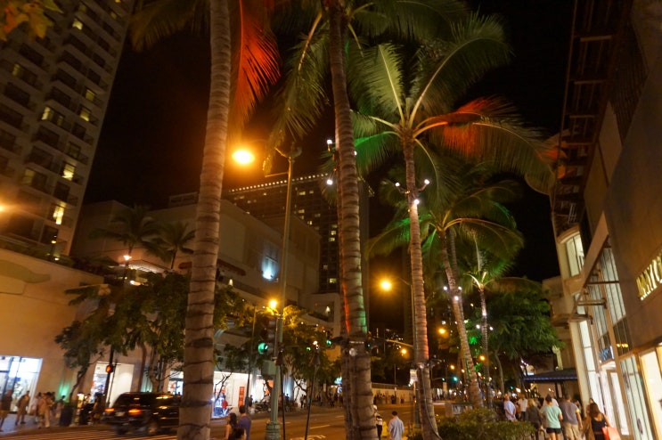  하와이 울프강 스테이크 하우스 저녁, 길거리 야경 소화 굿