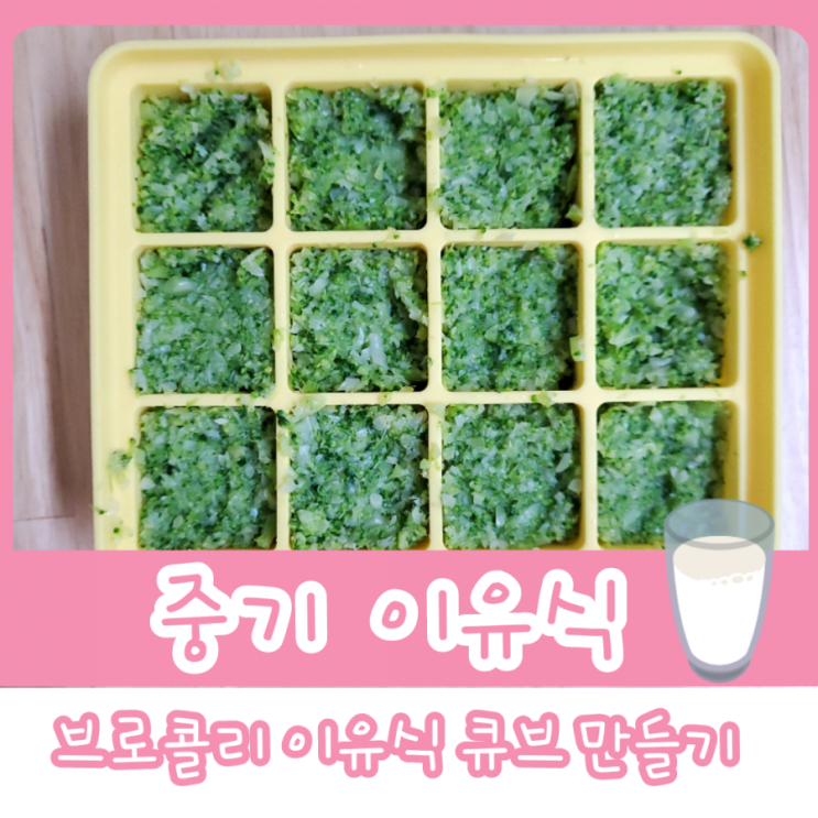  중기 이유식 2단계 - 브로콜리 이유식 큐브 만들기