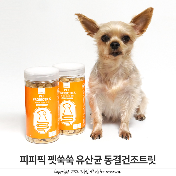 강아지동결건조간식 펫쑥쑥 강아지트릿 식감 굿 강아지동결건조간식 펫쑥쑥 강아지트릿 식감 굿