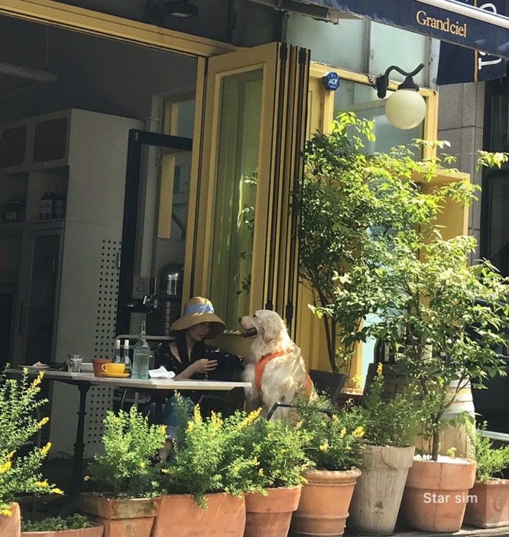  영화사시월 S의 맛집 산책 <도산공원>