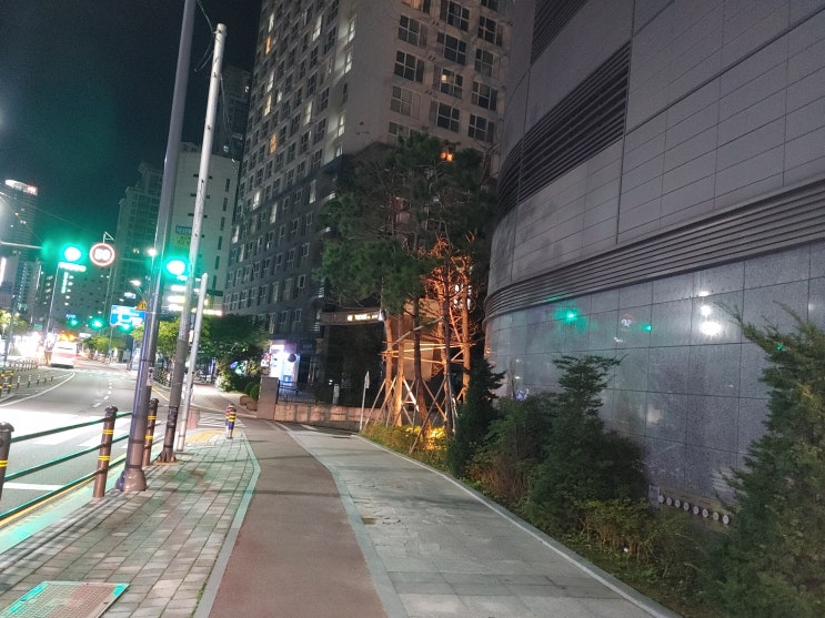  심야시간 해운대역까지 걷기/ 롯데리아 불고기버거랑 오징어링 사먹자