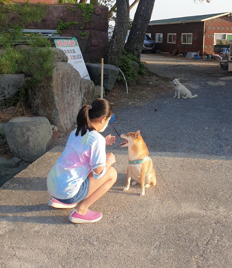  몇일전 찍은 사진을 보여줬더니 남편의 반응이? 응? 이건?