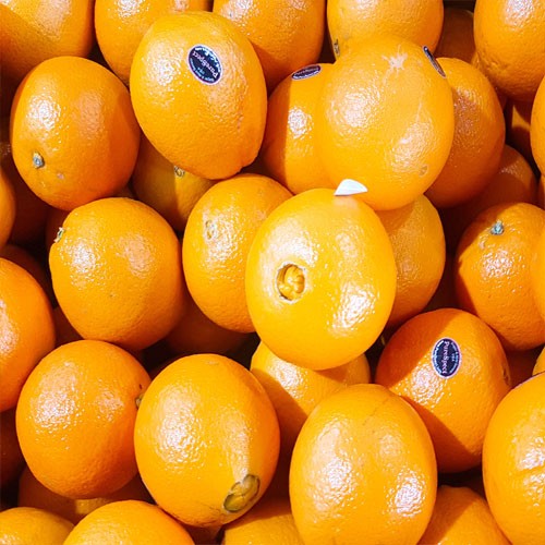 많이 팔린 달달과수원 퓨어스펙 맛있는 고당도 오렌지, 88개입, 18kg ···