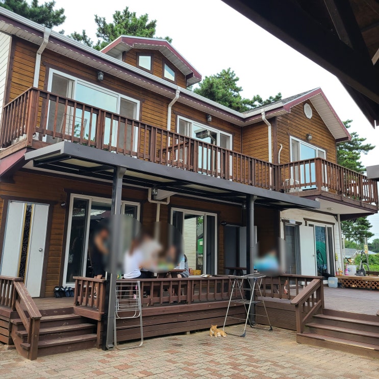  몽산포 펜션 태안 조개잡이 장비렌탈까지