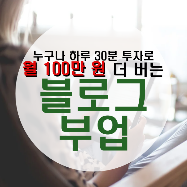  [경영] 누구나 하루 30분 투자로 월 100만 원 더 버는 블로그 부업 - 김상은 작가
