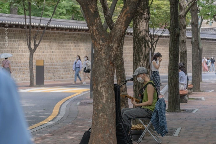  서울 데이트 산책코스 덕수궁 돌담길 : "서울시립미술관>정동길>정동제일교회>정동극장"