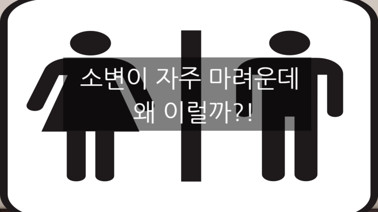  소변 자주 마려움, 오줌이 마려운 원인은?