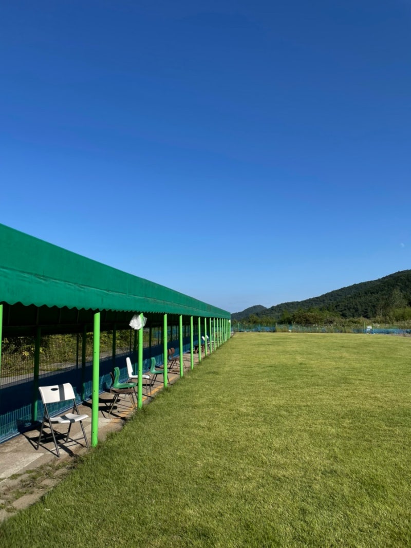 무료 사진: 사랑 스럽다, 개, 강아지, 자 고, 빨 대, 귀여운, 애완 동물, 송곳 니, 건초, 동물, image size:800x1067