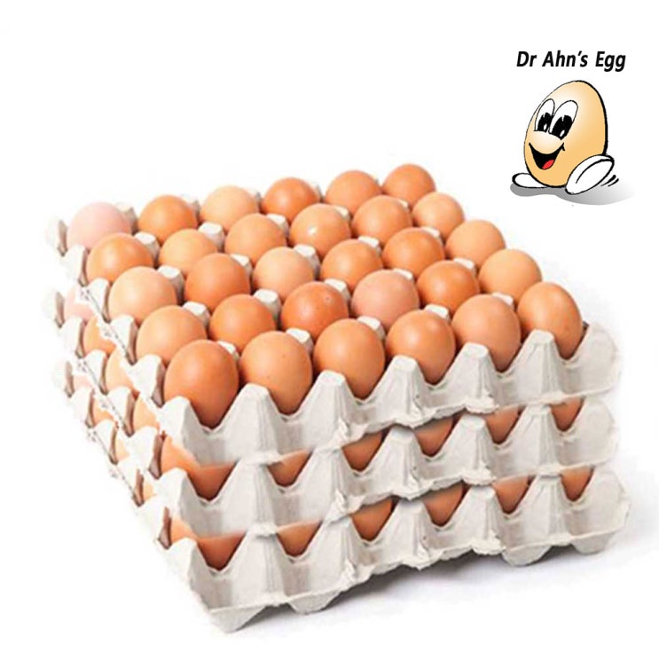 핵가성비 좋은 [닥터안스에그 3판 90알] 특란 대란 초란 무항생제 달걀 생란 당일생산 수의사 계란, 햇달걀 90알 좋아요
