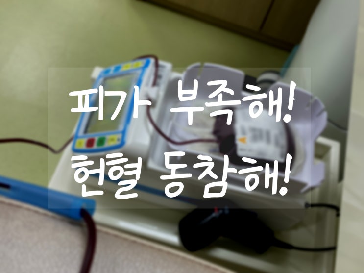  우리 다같이 헌혈하고 BTS 디아이콘 매거진 받아요!