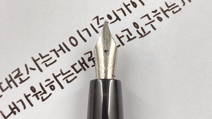  이기주의 (진하오 51A, 캘리그라피, 만년필 실제 사용 영상)