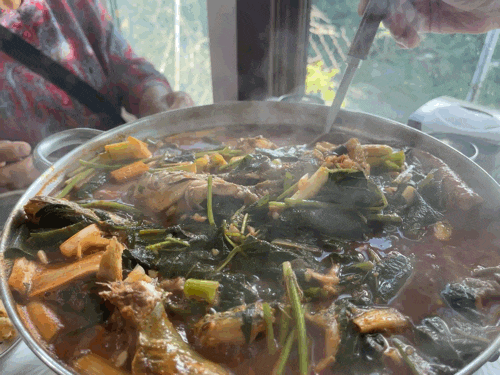  경기도 연천맛집 한탄강/재인폭포 인근 민물매운탕 <불탄소가든>