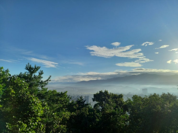  운수 나쁜 날