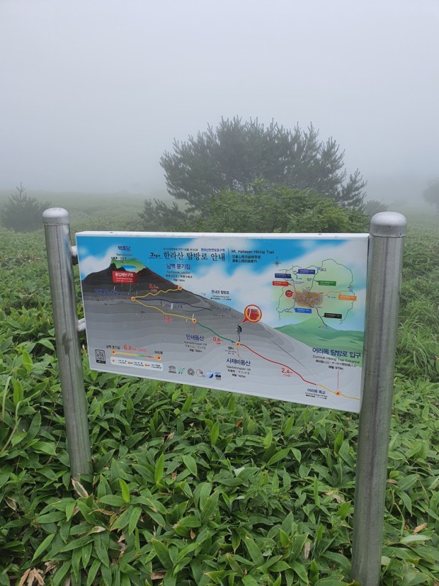 막바지 불꽃놀이 체험할 수 있는 한라산 어리목코스 여수 제주도 배편으로 고
