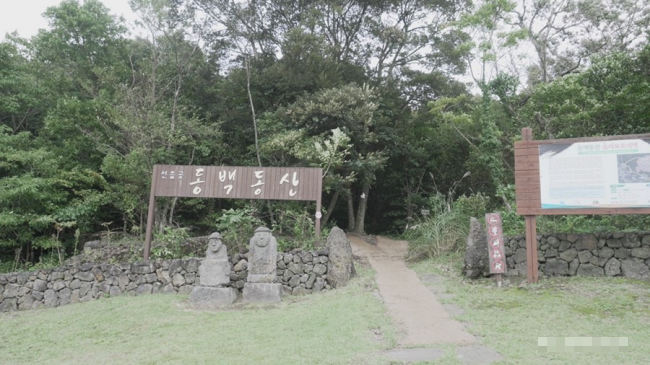 생태체험관광 명소 제주도 선흘리 동백동산 곶자왈 숲. 해남 제주도 배편