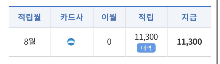 광역알뜰교통카드 소개 | 발급 | 한 달 이용 후기 및 꿀팁