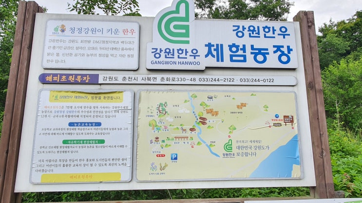  강원도 춘천 가볼만한 곳 해피초원 목장과 먹이주기 체험 포토존 가보기