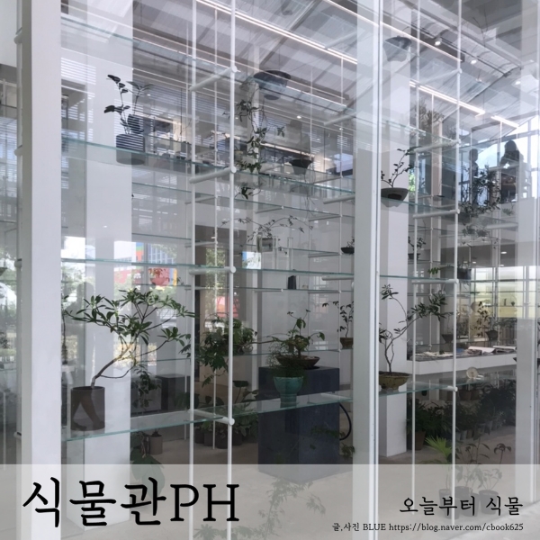  카페와 식물, 전시가 함께하는 강남 식물관PH
