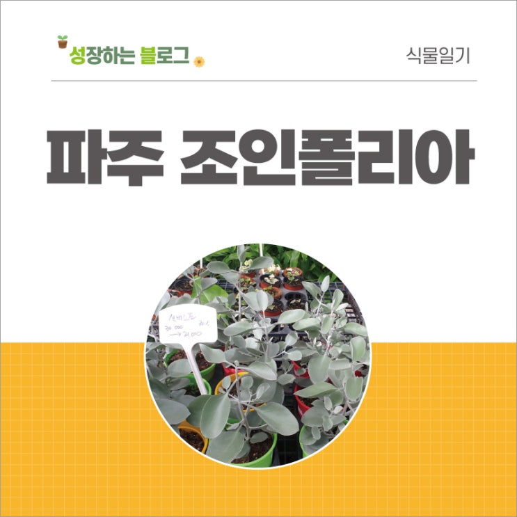  파주 조인폴리아 다녀온 후기