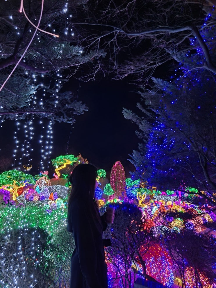 국내여행 추천 가평 아침고요수목원(야간개장ver.)