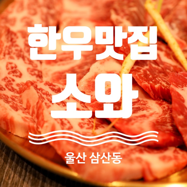 울산 한우 맛집 회식 접대 추천 삼산동 소와