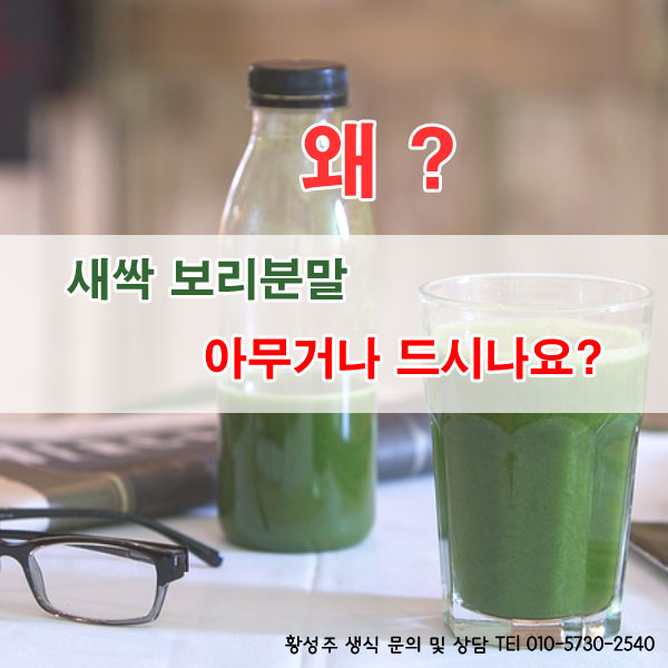  새싹보리분말 선택기준 분명해야 건강해지시죠 ! 새싹보리효능과 먹는법