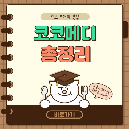  코코메디 가격 및 효과 부작용 파는 곳 총정리
