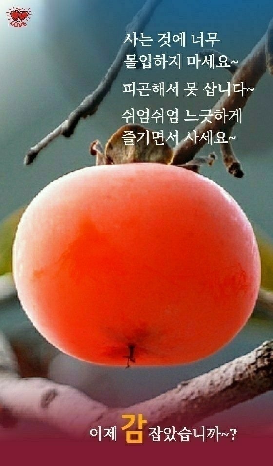 이쁜이포차 사진 2