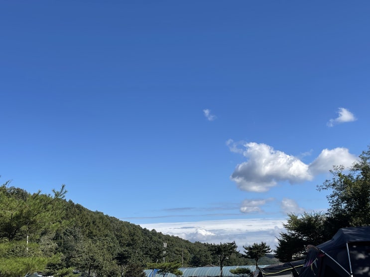  c캠핑️ 용인 장박  3