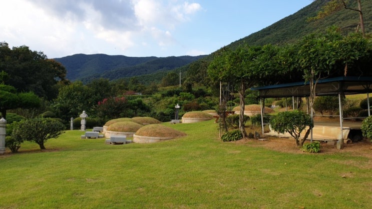  산소 잔디 씨앗 잔디씨 뿌리기 푸르네오 효도씨앗 심기