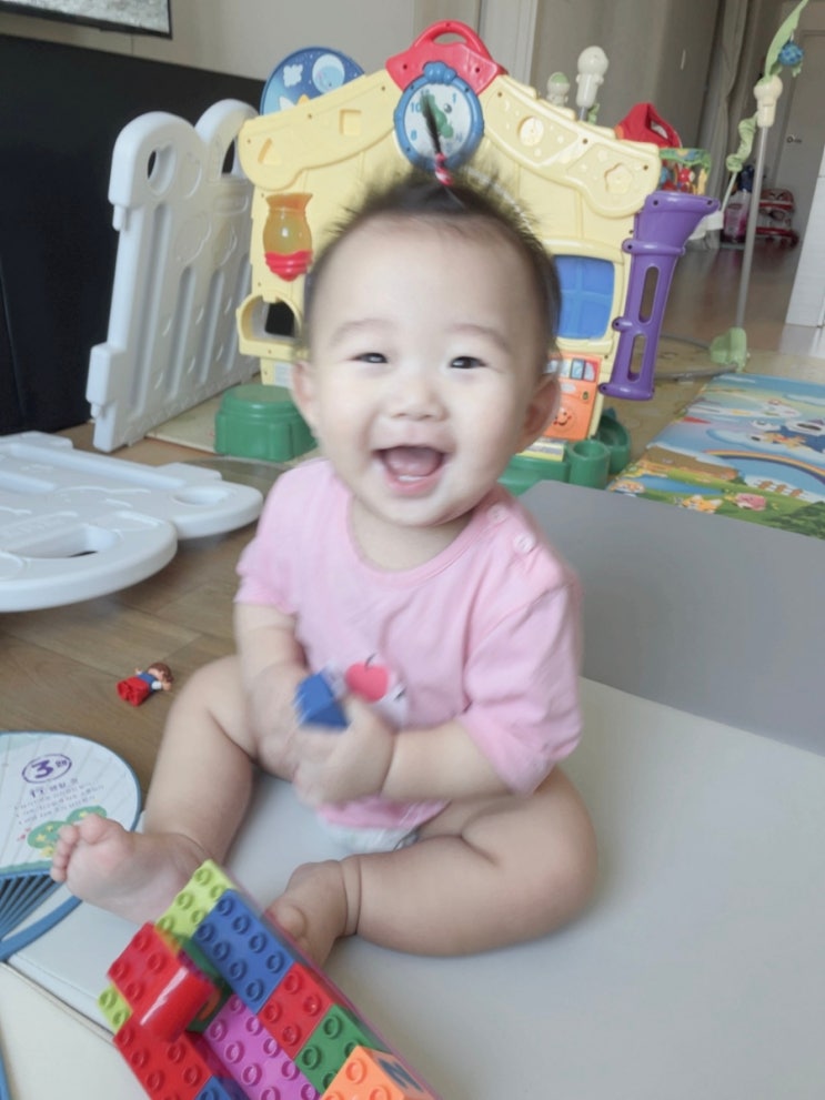  차니의 요즘 하루하루 일상