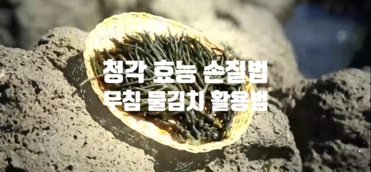  청각 효능과 요리 방법(ft. 무침 물김치) 손질법 고르는 법