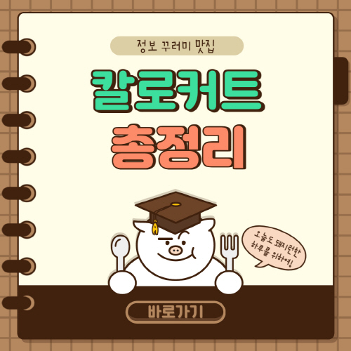  칼로커트 성분 가격 및 효과 부작용 총정리