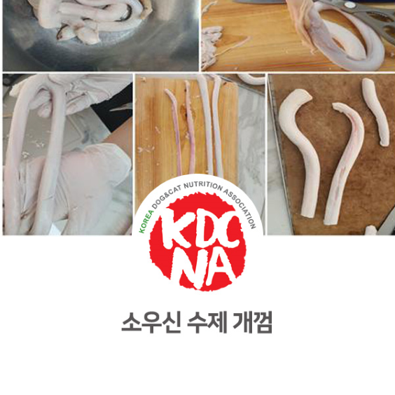  불리스틱 개껌에 대해서 알아봐요 [한국반려동물영양협회/펫영양사/펫푸드자격증/애견수제간식창업/광주/군산/대전/여수/목포]_878