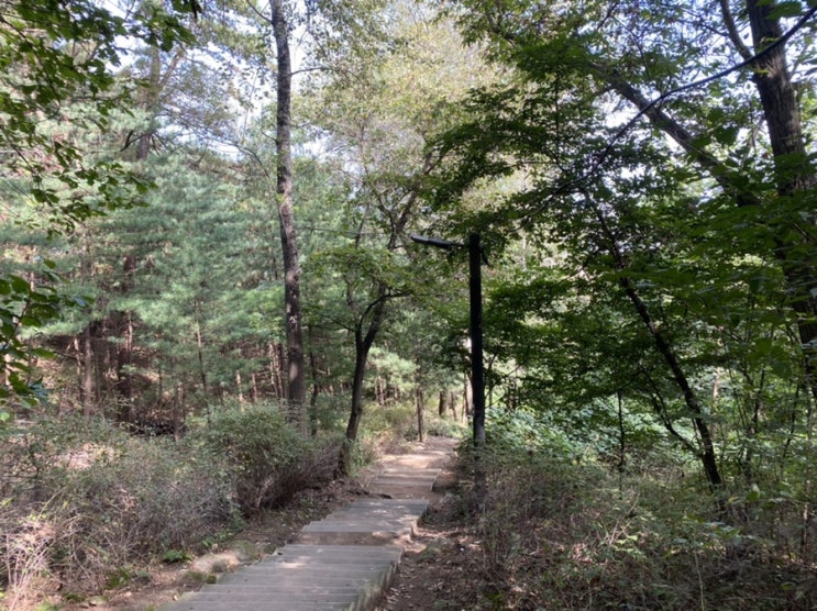  서울둘레길 4코스(대모산-구룡산)