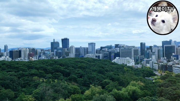  라마다 서울 호텔 뷰 Korea Seoul Hotel | Ramada Seoul Hotel, 선정릉 | 삼성동