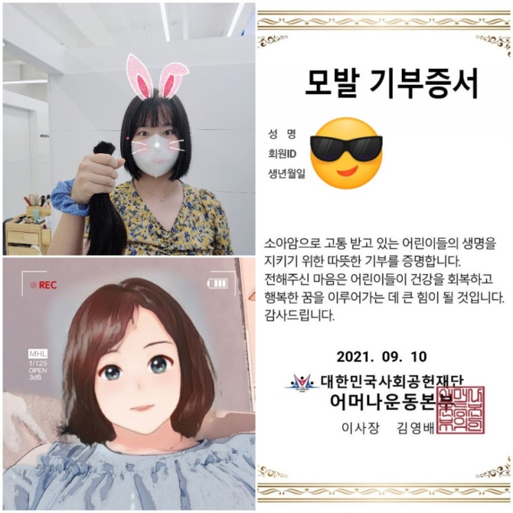  [어머나 운동본부] 머리카락 기부, 모발 기부 하는 방법 (기부 절차, 기부가능 모발, 기부 증서 발급)