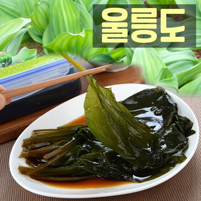 인기 많은 자연산 울릉도 산마늘 명이나물절임 300g, 1팩 추천해요 인기 많은 자연산 울릉도 산마늘 명이나물절임 300g, 1팩 추천해요