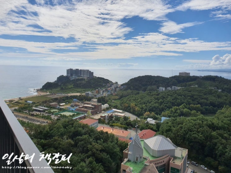  양양·속초 1박2일 - 2021. 9. 18. 속초 대포항근처 숙소 더블루테라 내돈내산 솔직후기