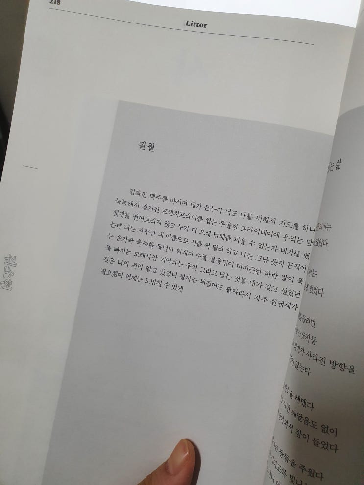  [릿터31호] 시인 김소현 <팔월>에 대한 감상