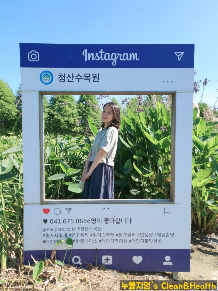  [가족여행] 국내가을여행 태안 안면도 1박2일(나문재펜션) feat.백신접종  가족여행
