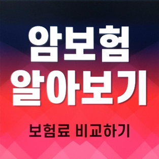  10대고액암 비갱신암보험다이렉트 중복암보험 나에게 알맞은 보장으로 구성하세요