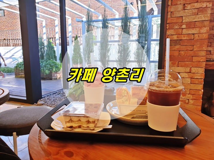  대전 핫플 대전신상카페  카페 양촌리 대전괴정동카페
