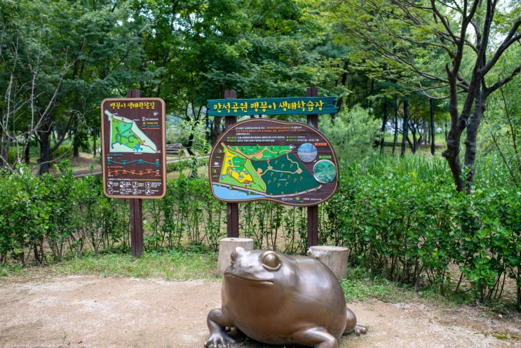  맹꽁이는 다 어디로 갔을까?