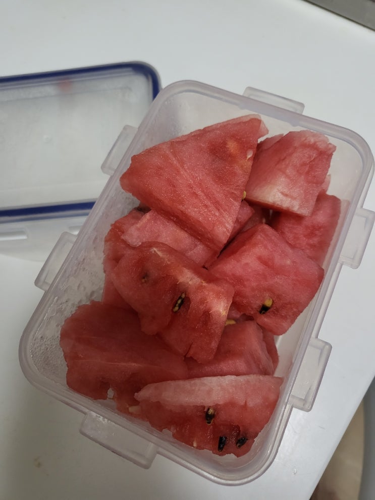  9월 19일 식사