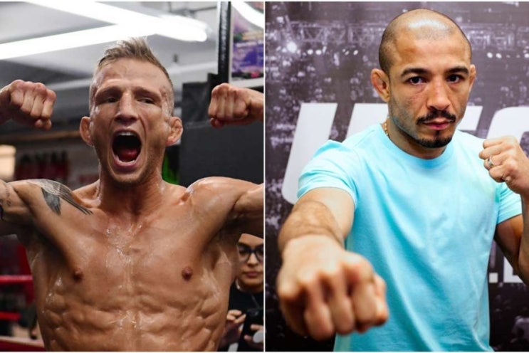 조제 알도: T.J. 딜러쇼 시합 원해...안 되면 도미닉 크루즈 말고 랍 폰트 등 MMA 뉴스 조제 알도: T.J. 딜러쇼 시합 원해...안 되면 도미닉 크루즈 말고 랍 폰트 등 MMA 뉴스