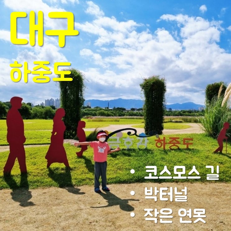  대구 금호강 하중도-코스모스/박터널/작은 연못/사진명소